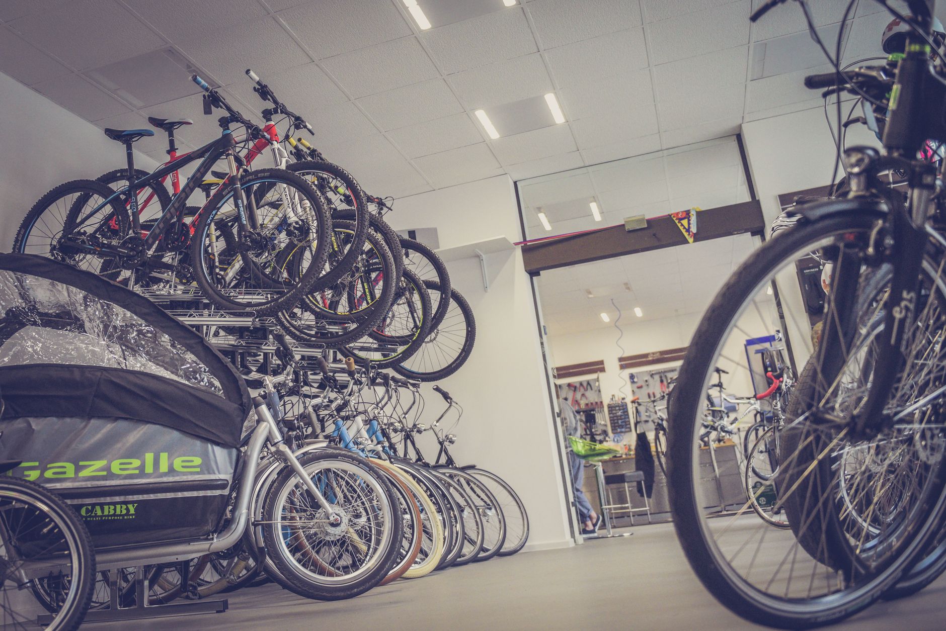My Velo, que valent ses — vélos dans un magasin de vélos