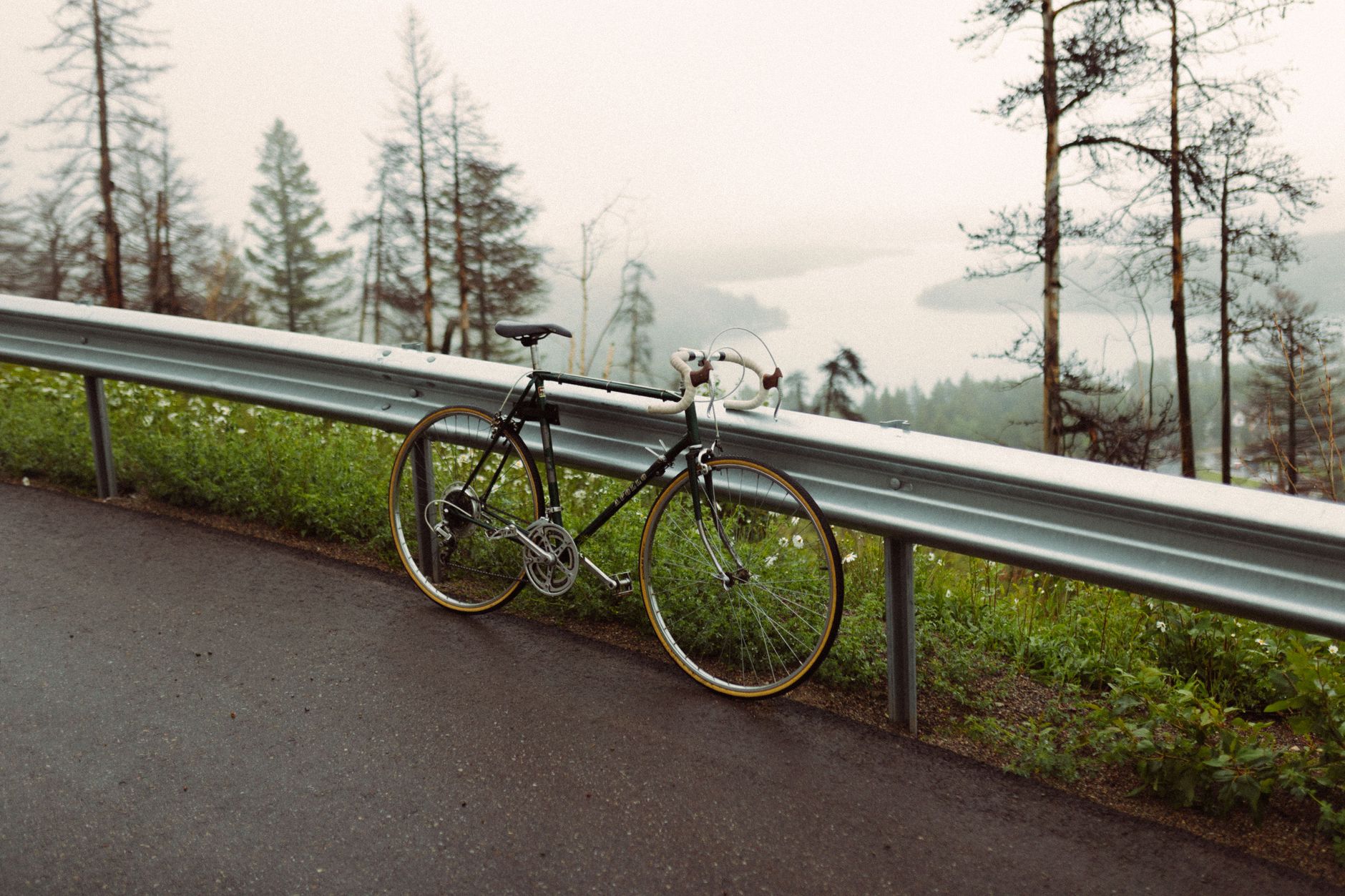 Top 12 des vélos de route par budget : du premier achat au matos de rêve — vélo de route sur route de montagne