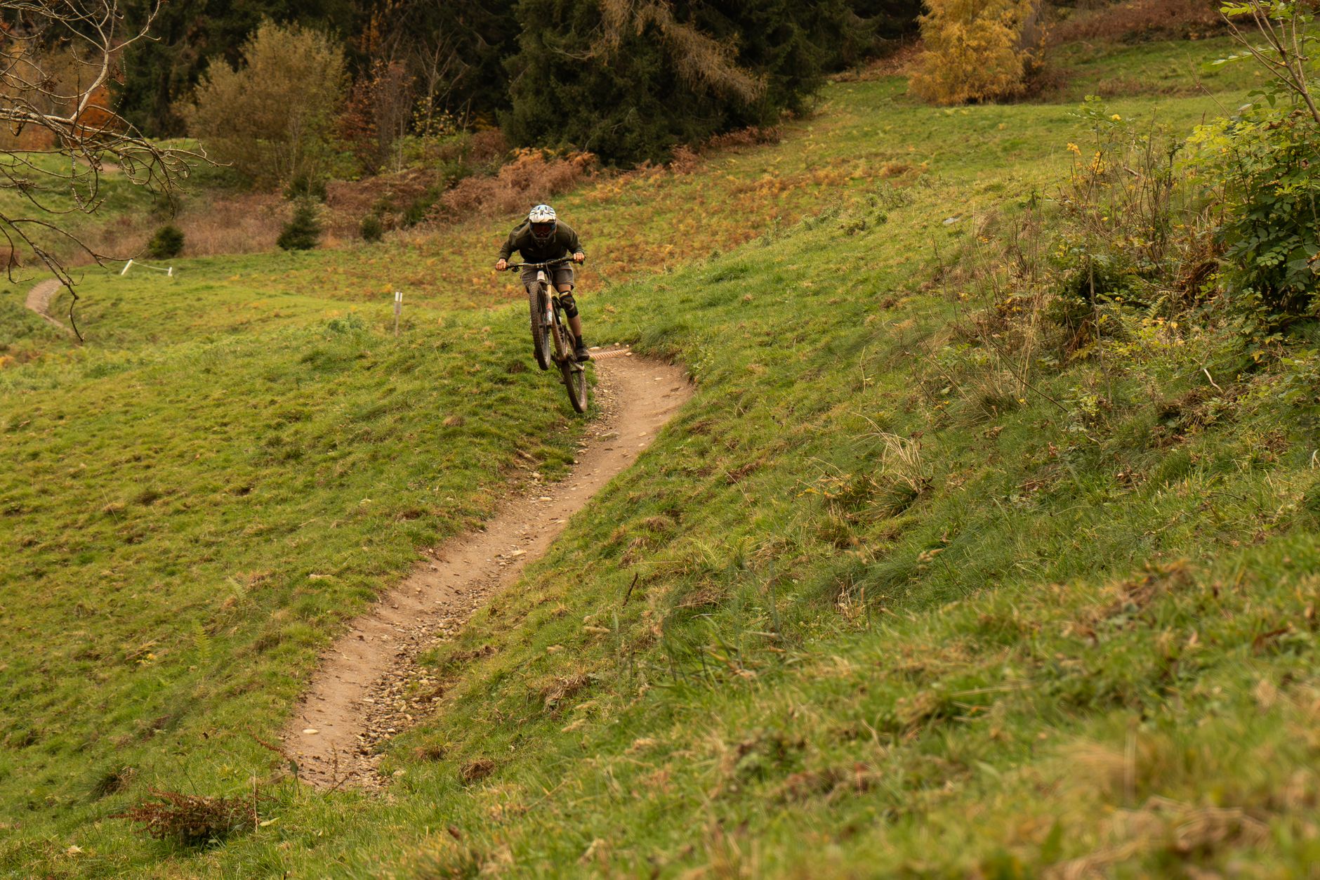 Vélos Bergamont : origine, philosophie et positionnement dans le cyclisme actuel — VTT Bergamont sur un sentier